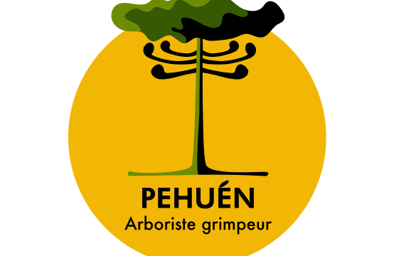Pehuén – Arboriste Grimpeur