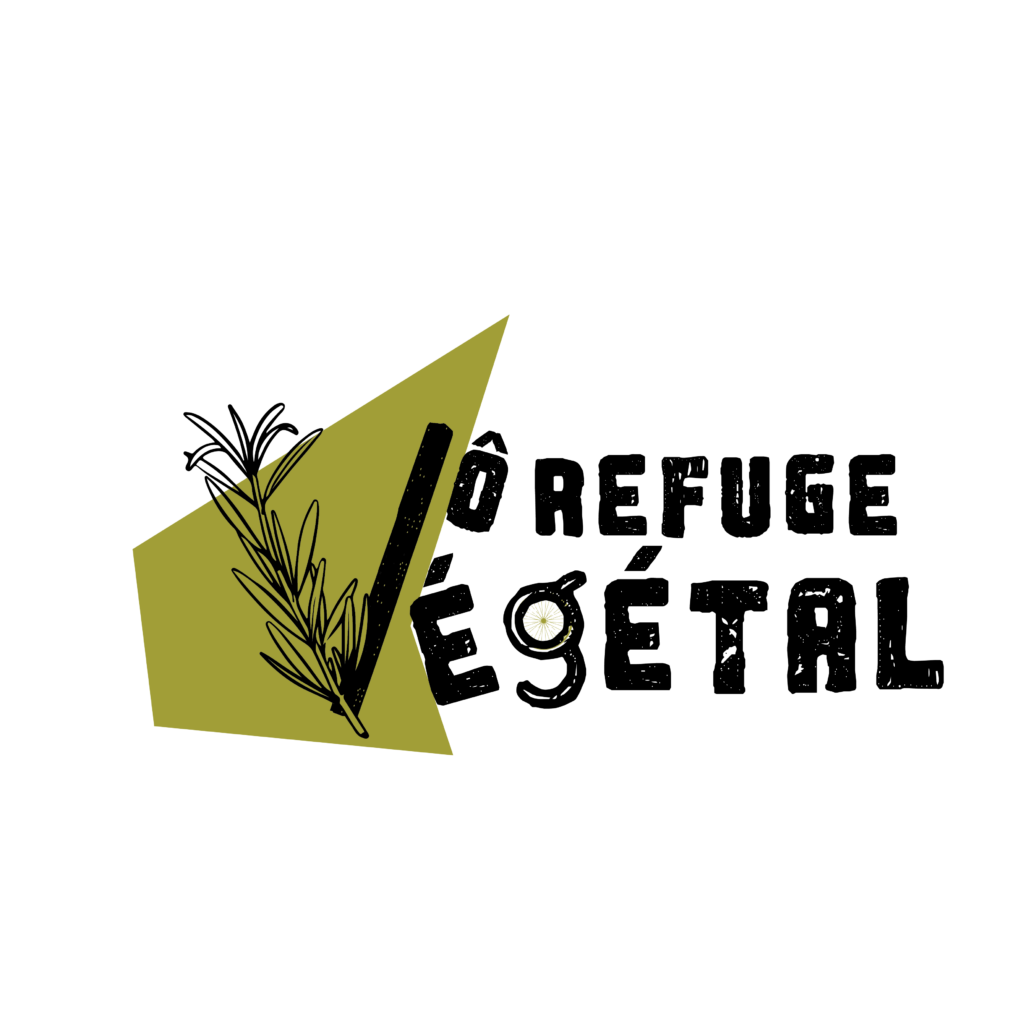 Logo_VF_Complet